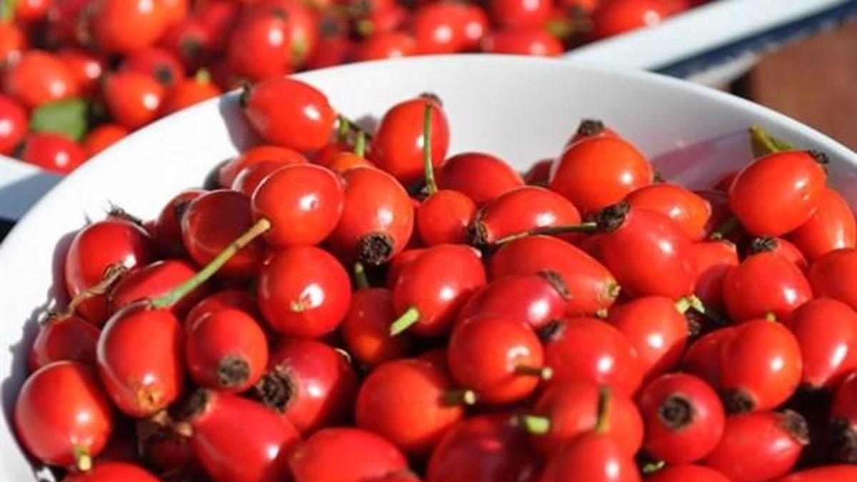 Kuşburnu Çayı Faydaları Nelerdir