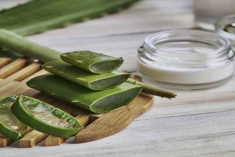 Aloe Vera Jel Nasıl Kullanılır