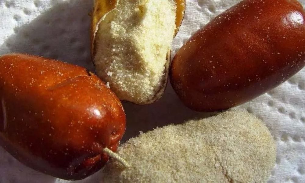 İğde Çekirdeği Tozunun Faydaları Nelerdir